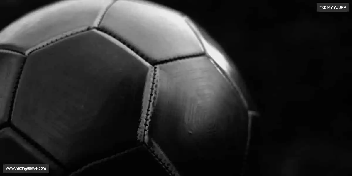 完美体育🚣‍♀️逆流而上，向阳而行 —— 用体育的力量，划向属于你的星辰大海！